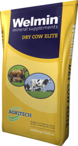 Welmin Dry Cow Elite - Welmin Dairy Mineral Supplements