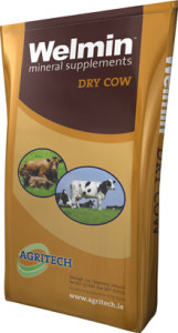Welmin Dry Cow - Welmin Dairy Mineral Supplements