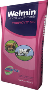Welmin Thrivovit SCC - Welmin Dairy Mineral Supplements