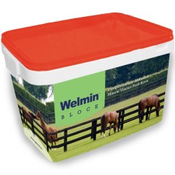 Welmin Horse Block - Welmin Horse Mineral Supplements