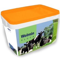 Welmin Dry Cow Elite Block - Welmin Dairy Mineral Supplements