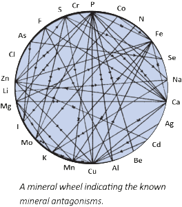 mineral-wheel