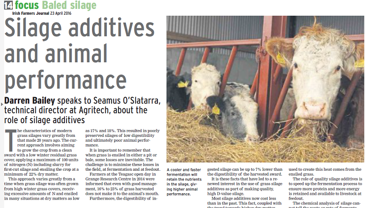 Silage additives and animal performance