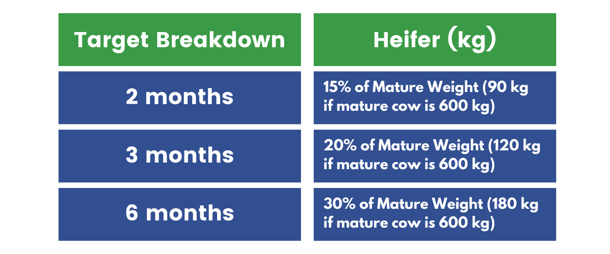 Heifer target weight breakdown table