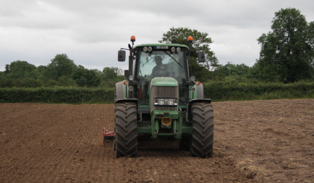 Autumn Reseeding: Sowing date effecting spring grass availability